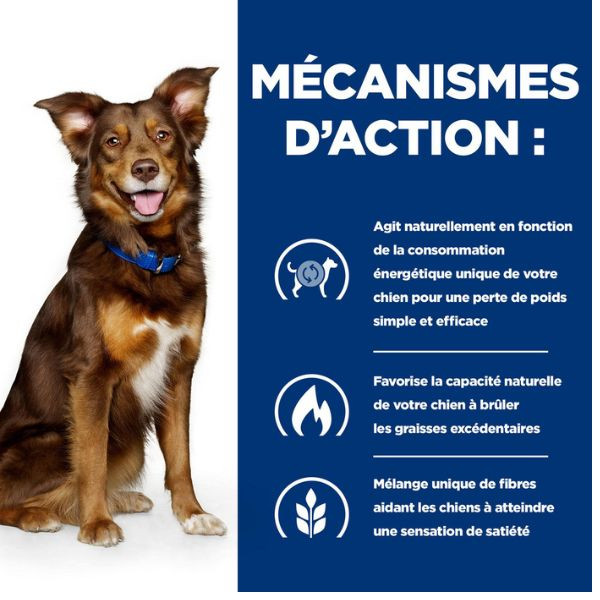 Hill's Prescription Diet Canine Metabolic - 24 x 156 g