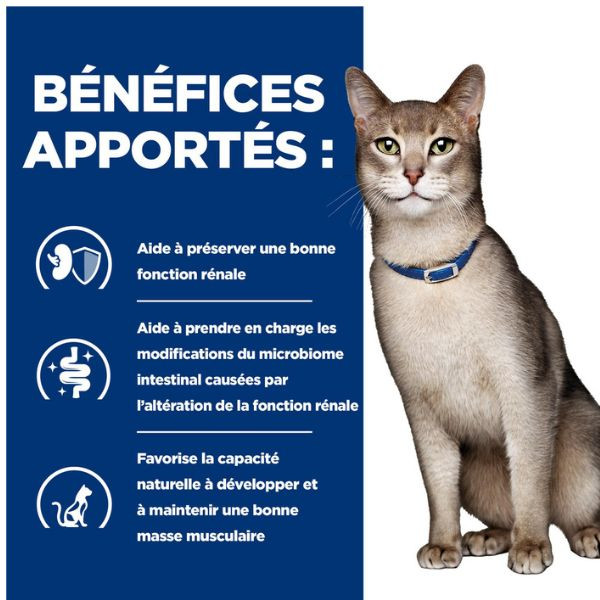 Hill's Prescription Diet Feline k/d Saumon - 12 x 85 gr