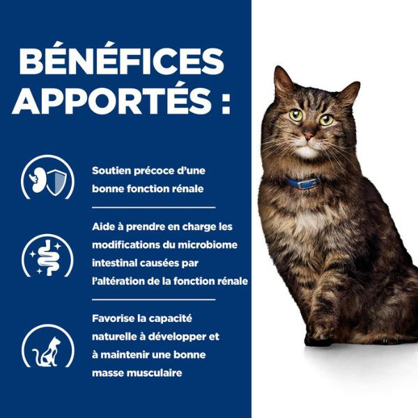 Hill's Prescription Diet Feline k/d Early Stage - 12 x 85 g