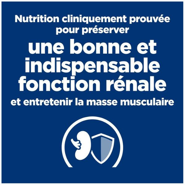 Hill's Prescription Diet Feline k/d Saumon - 12 x 85 gr