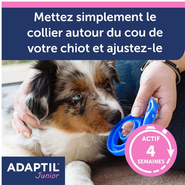 Adaptil Collier pour Chiot