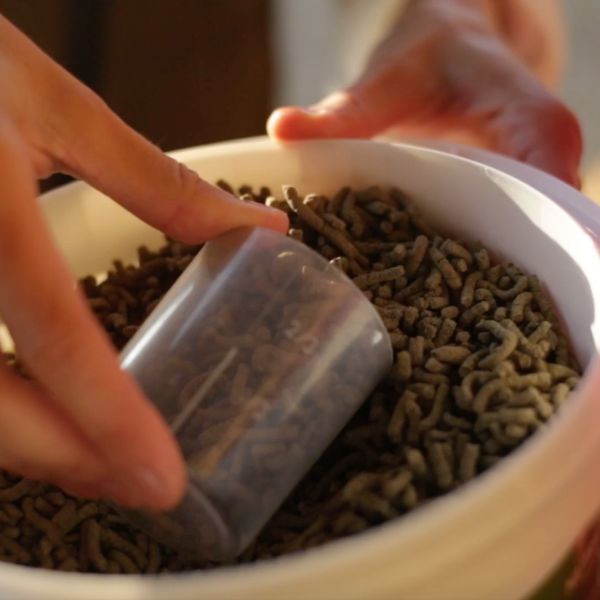 Ravène Nutrilife + 2,7 Kg