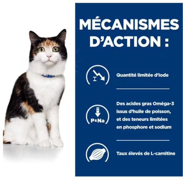 Hill's Prescription Diet Feline y/d - 24 x 156 gr