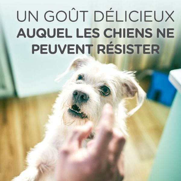 Hill's Healthy Weight Dog Treats - 220 g