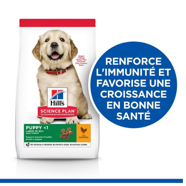 Hill's Science Plan Canine Puppy Large Breed Poulet - 16 kg