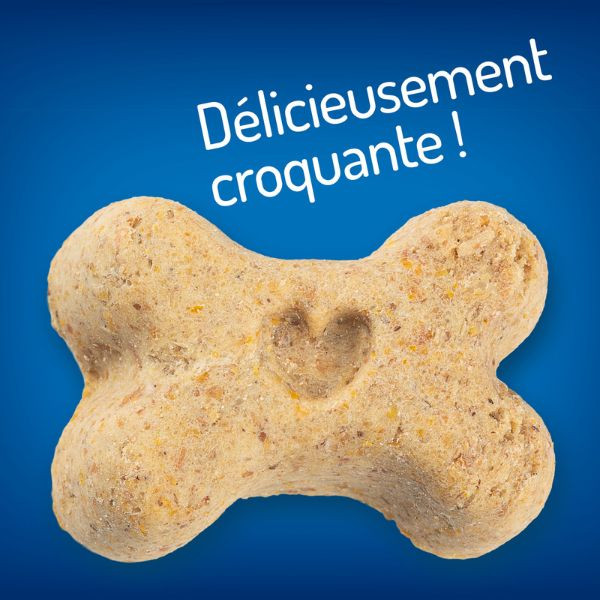 Hill's Healthy Weight Dog Treats - 220 g