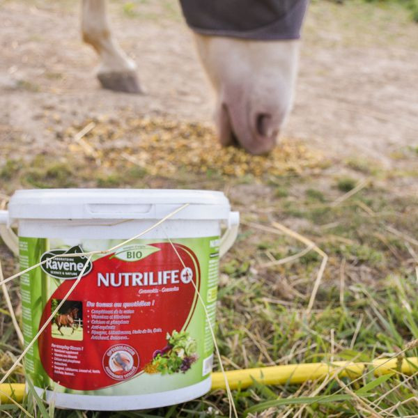 Ravène Nutrilife + 2,7 Kg