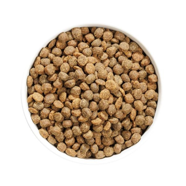 Ownat Author Dog Junior Fresh Chicken