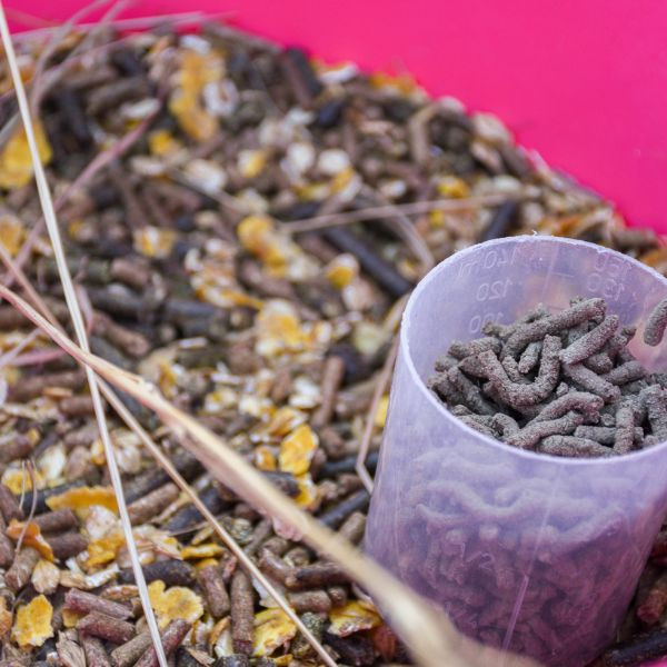 Ravène Nutrilife + 2,7 Kg