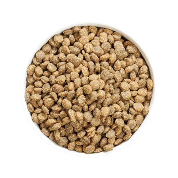 Ownat Author Dog Fresh Lamb & Pork