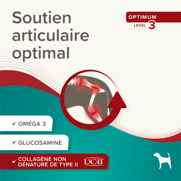 Beaphar Bouchées Flexifit - 175 g