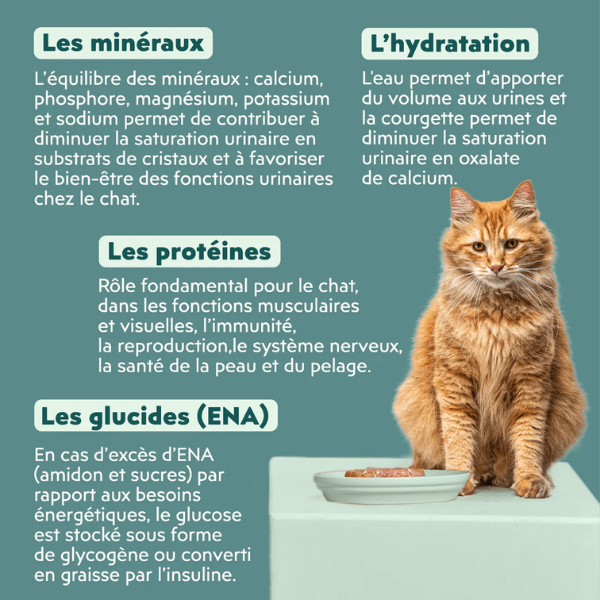 Ziggy Pâtée Urinaire Chat - 4 x 100 g
