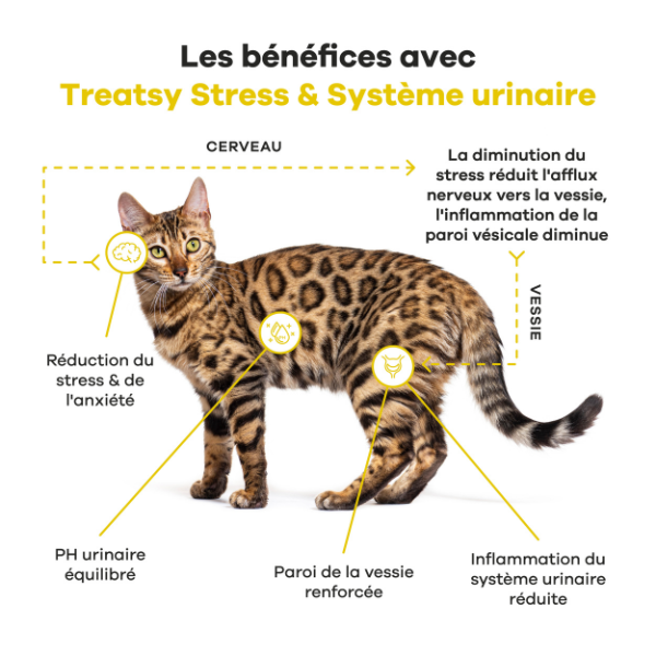 Treatsy Stress & Système Urinaire pour Chat - 90 g