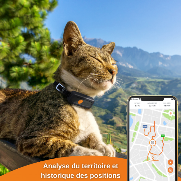 Weenect Cats 2 tracking