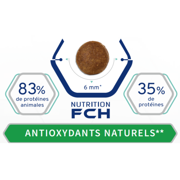 Tonivet Chien Junior Mini - 2 kg 