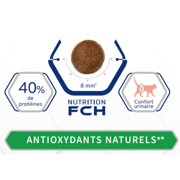 Tonivet Chat Adulte Stérilisé