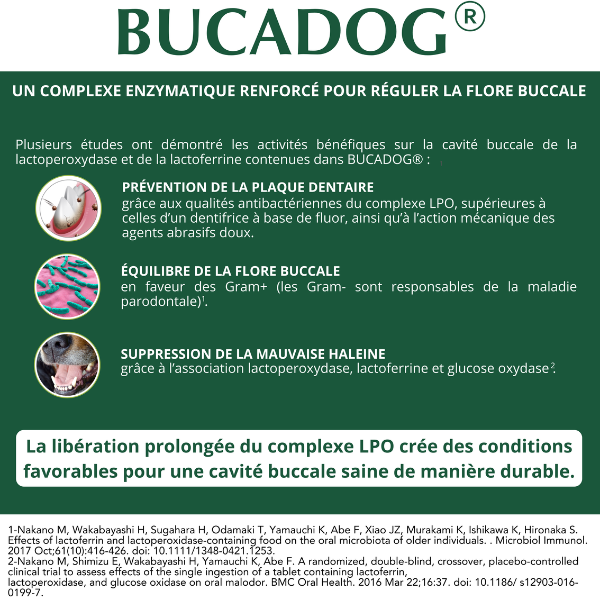 Bucadog Dentifrice