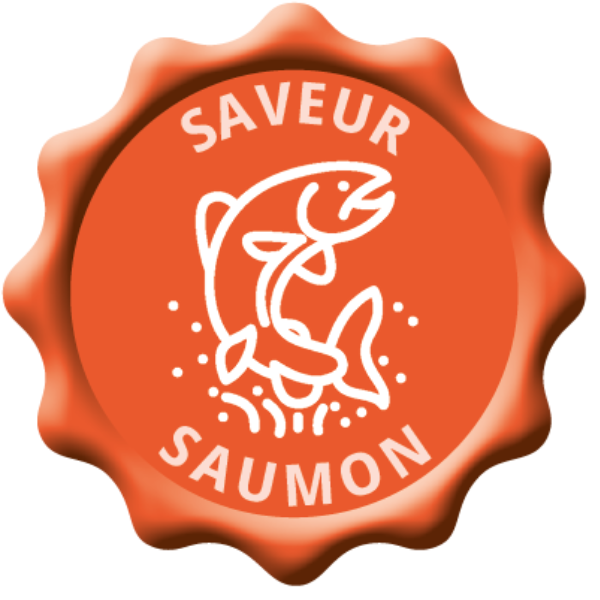 Veterinary HPM Cat Adult Neutered & Entire Saumon