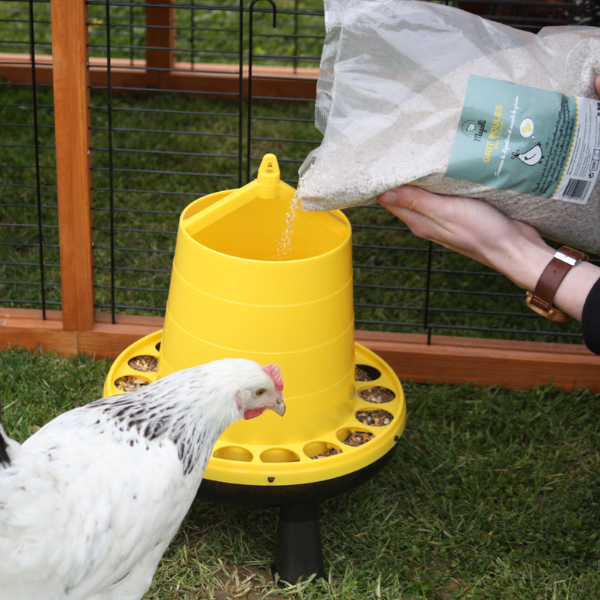 Magalli Grit pour Poules - 5 kg 