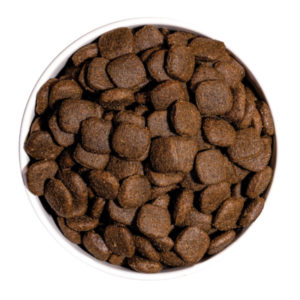 Ownat Ultra Medium Adulte