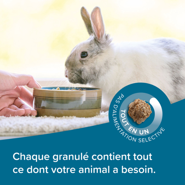Beaphar Care+ Alimentation pour Lapin Junior - 1,5 kg