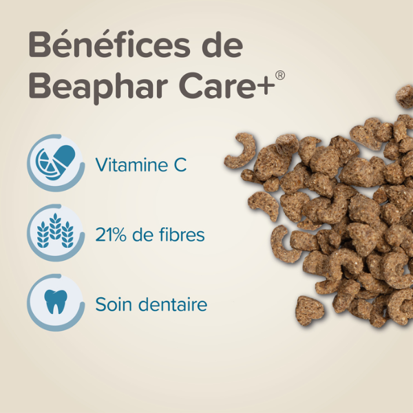 Beaphar Care+ Alimentation pour Cochon d'Inde