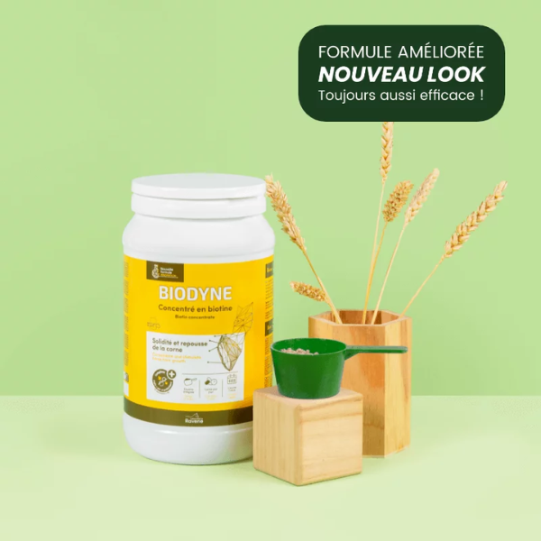 Ravene Biodyne - 1 Kg