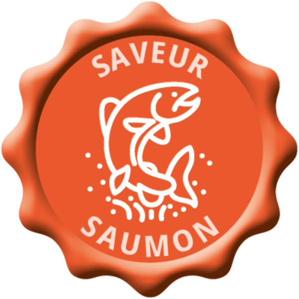 Veterinary HPM Cat Adult Neutered Saumon - 12 x 85g