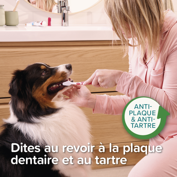 Beaphar Dentifrice Menthe & Persil - 100 g