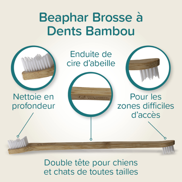 Beaphar Brosse à dents en Bambou