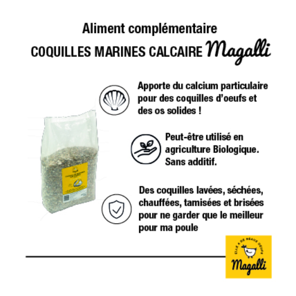 Magalli Coquilles marines enrichies en grit - 5 kg