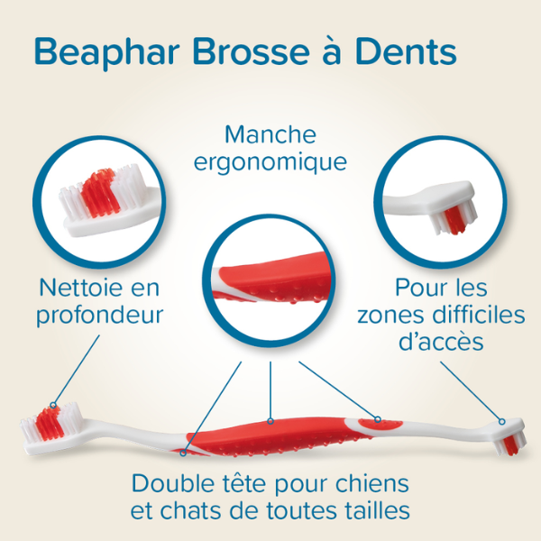 Beaphar Brosse à Dents + Dentifrice 