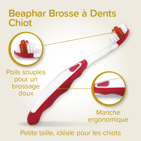 Beaphar Brosse à Dents + Dentifrice Chiot