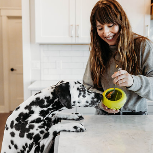 Benebone Bounce Cone