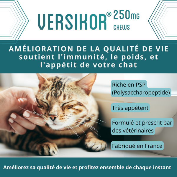 Versikor 500 Chews pour Chat 