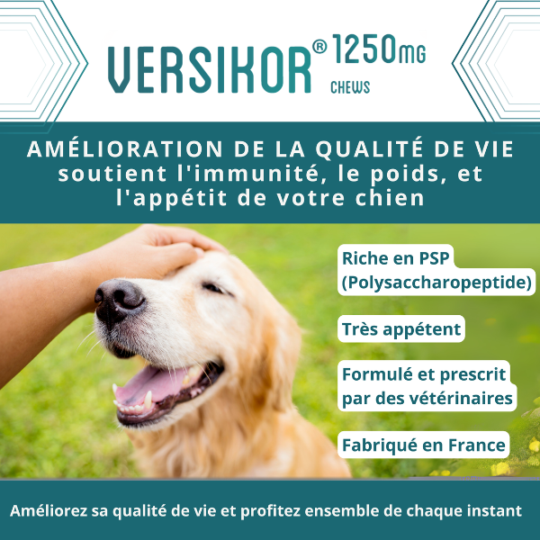 Versikor 500 Chews pour Chien