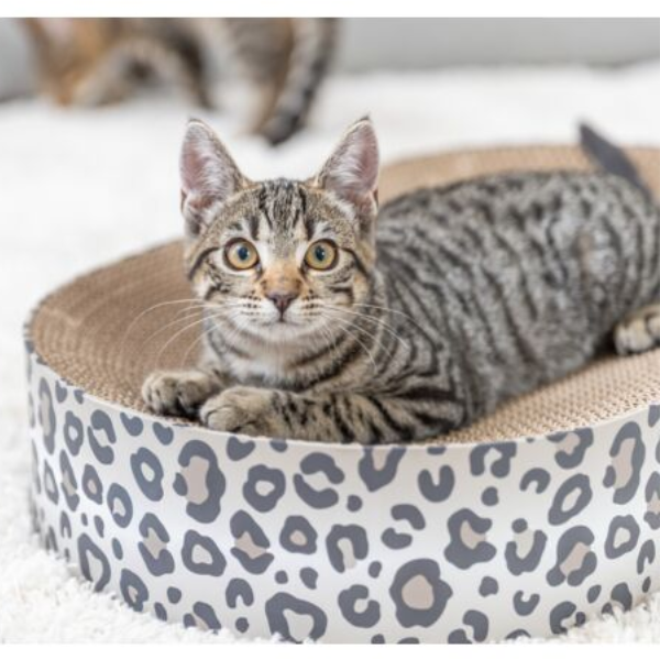 Trixie Lit griffoir Leo