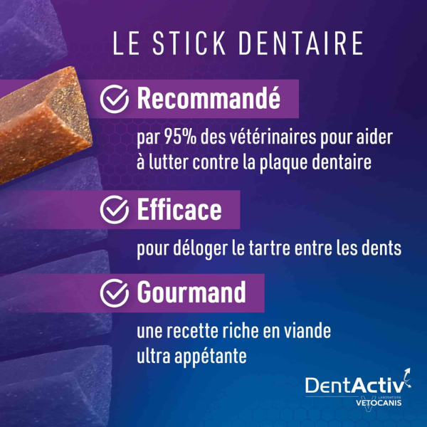 DentActiv Pour Grand Chien