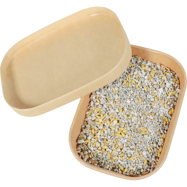 Zolux Kit Herbe à Chat - 190 g