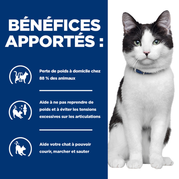 Hill's Prescription Diet Feline j/d Metabolic + Mobility Sachet - 12 x 85 g