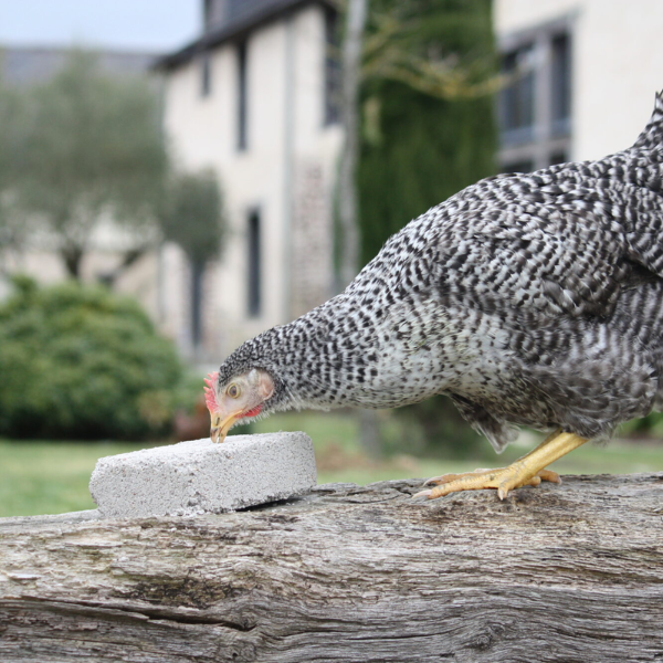 Magalli Bloc à Picorer 