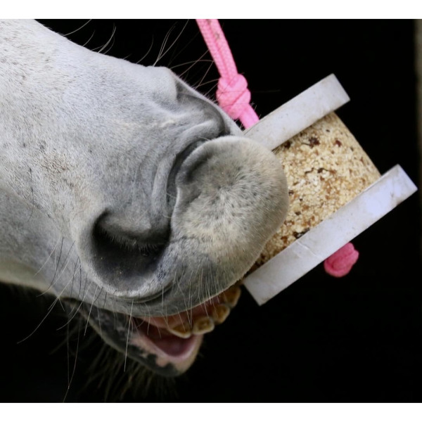 Happy Crackers Pierre à Lécher Wild Sweet