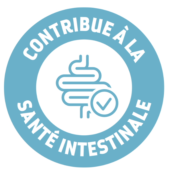 Advance Cat Gatroenteric - 12 x 85 g