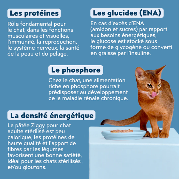 Ziggy Pâtée Chat Stérilisé Poisson - 4 x 100 g