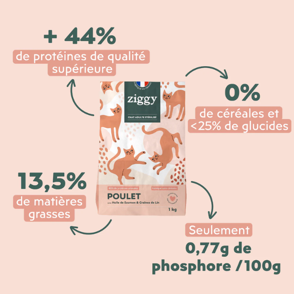 Ziggy Croquettes Chat Stérilisé au Poulet 