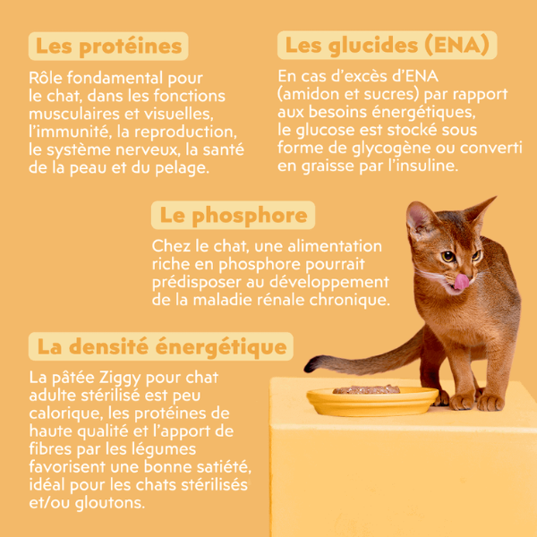 Ziggy Pâtée Chat Stérilisé au Poulet - 4 x 100 g