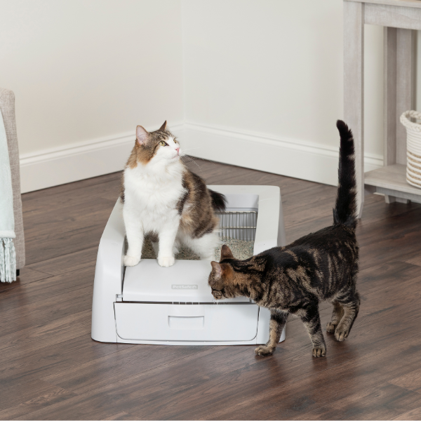 PetSafe ScoopFree - Bac à Litière Agglomérante Autonettoyant