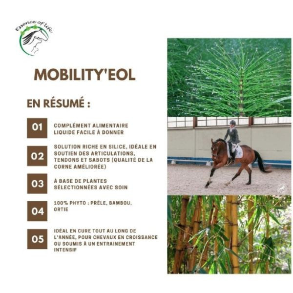 Mobility'EOL Préservation des articulations et tendons