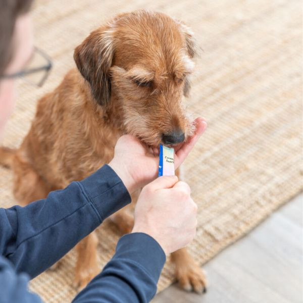 Trixie Creamy Snack pour chien au poisson et à la volaille - 5 x 14 g 