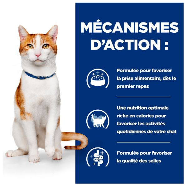 Hill's Prescription Diet Feline On-Care mijotés - 24 x 82 g